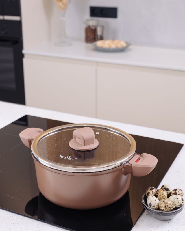 Кастрюля Nice Cooker IEASY Series 24