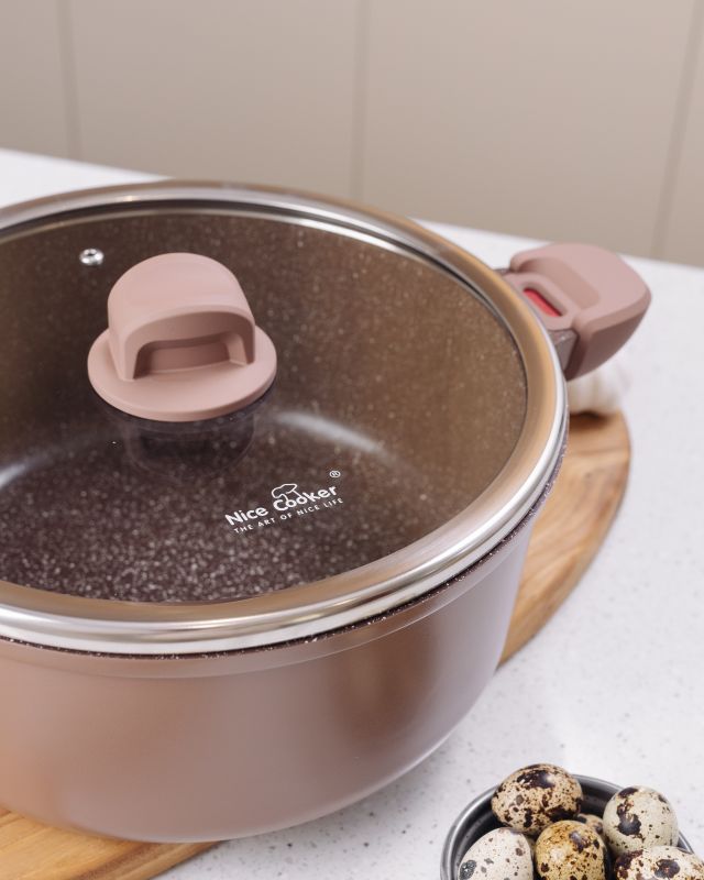Кастрюля Nice Cooker IEASY Series 20
